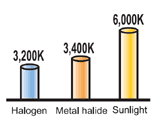 Metal Halide Color